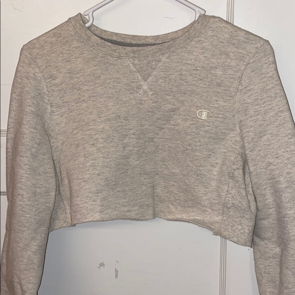 Cropped champion hoodie (size small)